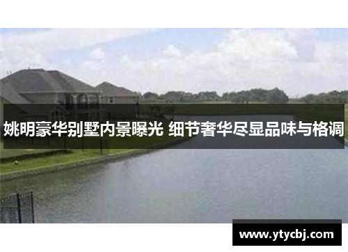 姚明豪华别墅内景曝光 细节奢华尽显品味与格调