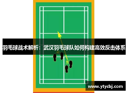 羽毛球战术解析：武汉羽毛球队如何构建高效反击体系